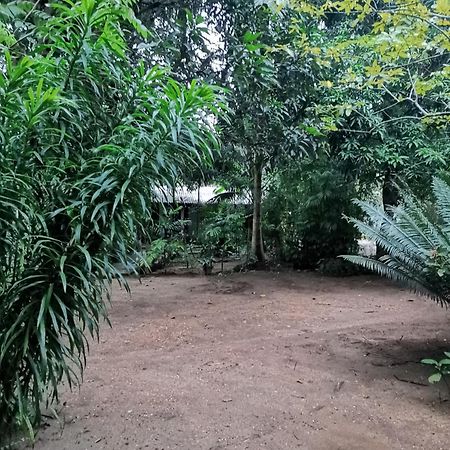 Sigiri Mango Garden Eco Resort Sigiriya Exterior foto