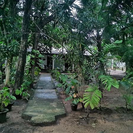 Sigiri Mango Garden Eco Resort Sigiriya Exterior foto