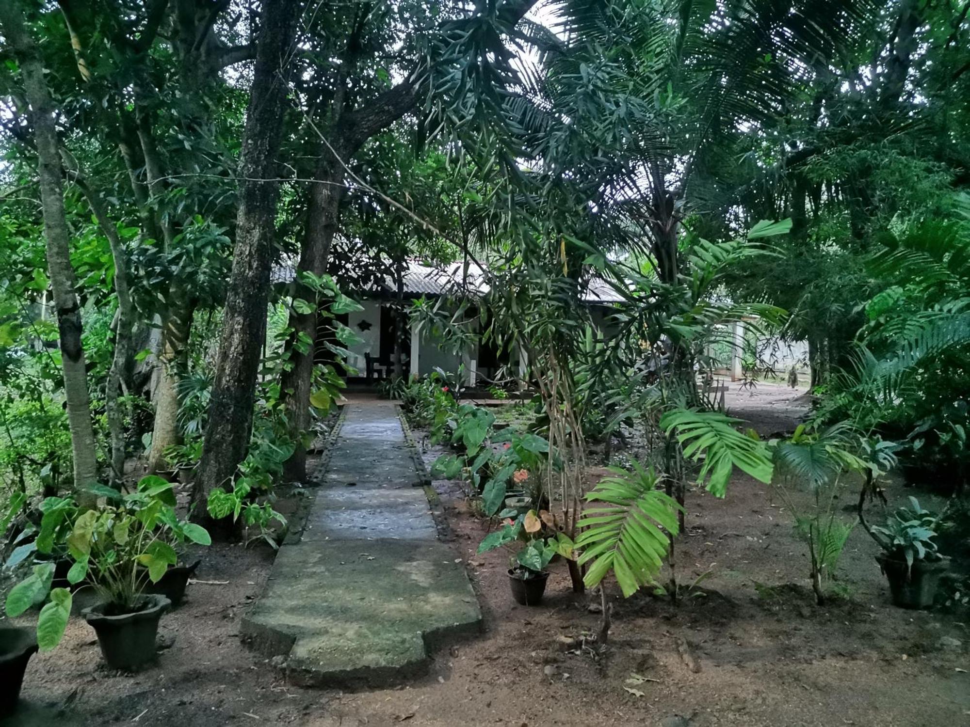 Sigiri Mango Garden Eco Resort Sigiriya Exterior foto