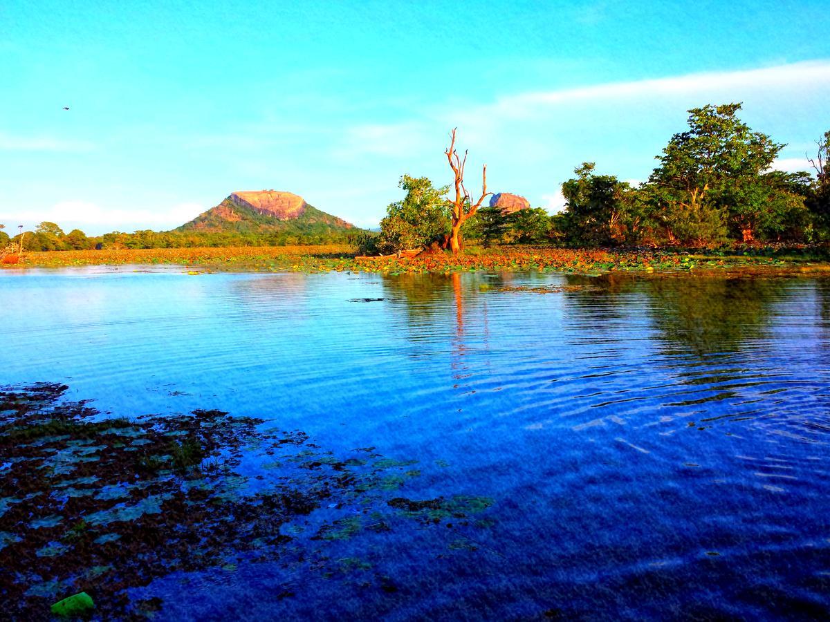 Sigiri Mango Garden Eco Resort Sigiriya Exterior foto