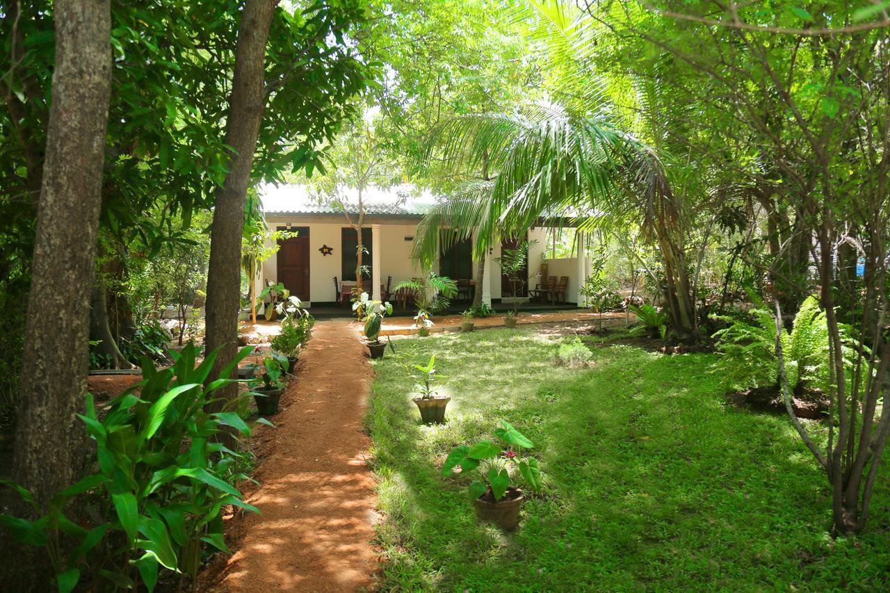 Sigiri Mango Garden Eco Resort Sigiriya Exterior foto